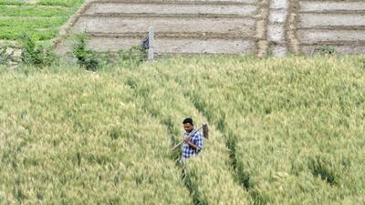 Last month, the authority’s efforts to buy land in 21 villages at the current rate were unsuccessful as farmers did not agree to sell. (HT Archive) Last month, the authority’s efforts to buy land in 21 villages at the current rate were unsuccessful as farmers did not agree to sell. (HT Archive)