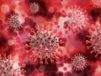 Brazil has reported its first-ever deaths from the Oropouche virus, a rare disease spread by midges and mosquitoes. Brazil has reported its first-ever deaths from the Oropouche virus, a rare disease spread by midges and mosquitoes.
