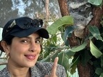 Priyanka Chopra shares a picture with a koala named after her Priyanka Chopra shares a picture with a koala named after her