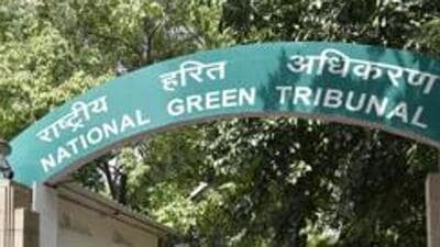 DPCC made the submissions to update NGT on the status of operations at the slaughterhouse. (HT Archive) DPCC made the submissions to update NGT on the status of operations at the slaughterhouse. (HT Archive)