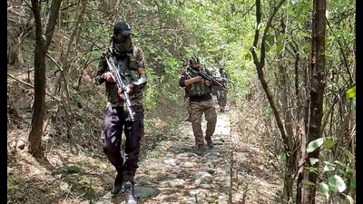 SOG police launching a search operation in the Khunia Forest in the wake of recent terror attacks in Jammu region. (ANI File) SOG police launching a search operation in the Khunia Forest in the wake of recent terror attacks in Jammu region. (ANI File)