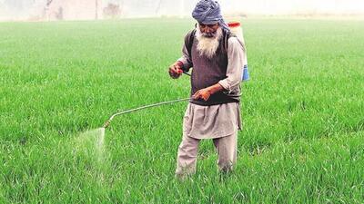 The Punjab agriculture department on Monday seized a large stock of unauthorised pesticides at Jhanduke village in Mansa. The Punjab agriculture department on Monday seized a large stock of unauthorised pesticides at Jhanduke village in Mansa.
