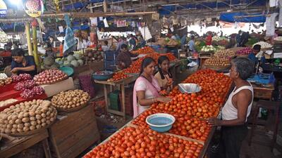 Tomato, onion and potato are three most consumed grocery items. (HT File Photo) Tomato, onion and potato are three most consumed grocery items. (HT File Photo)