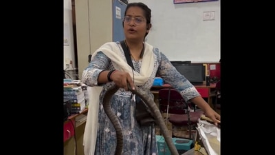 Snapshot of the woman handling the snake. (X/@moronhumor) Snapshot of the woman handling the snake. (X/@moronhumor)