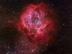 rosette_BlockPuckett_2918 rosette_BlockPuckett_2918