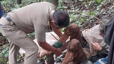 Police investigate abduction and abandonment of the 50-year-old US Citizen in Indian Forest (X) Police investigate abduction and abandonment of the 50-year-old US Citizen in Indian Forest (X)