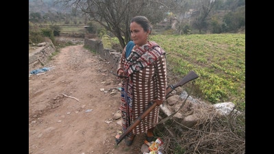 Following home ministry’s nod to semi-automatic weapons for village defence guards (VDGs) to take on M4 US carbine and AK-47 wielding Pakistani terrorists, security experts and village defence guards felt that the move would enable them to effectively take on the terrorists. (HT Photo) Following home ministry’s nod to semi-automatic weapons for village defence guards (VDGs) to take on M4 US carbine and AK-47 wielding Pakistani terrorists, security experts and village defence guards felt that the move would enable them to effectively take on the terrorists. (HT Photo)