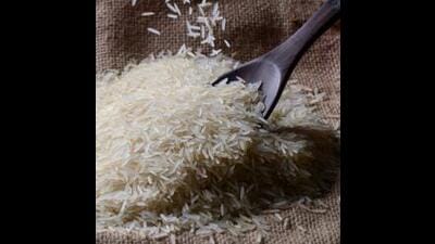 HT basmati will be grown in the summer-sown season. (Shutterstock) HT basmati will be grown in the summer-sown season. (Shutterstock)