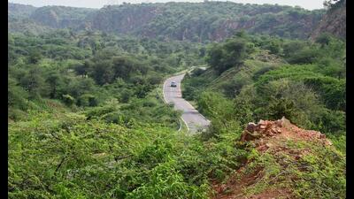 The work to lay a pipeline for taking recycled water to the Aravali Biodiversity Park on MG Road will begin next week. (Parveen Kumar/HT PHOTO)
