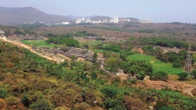 Aarey Milk Colony was established in 1949 as a government dairy farm on 1,287 hectares of land. (HT File) Aarey Milk Colony was established in 1949 as a government dairy farm on 1,287 hectares of land. (HT File)