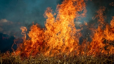 A man in court was accused of starting huge wildfires in the state of California. A man in court was accused of starting huge wildfires in the state of California.