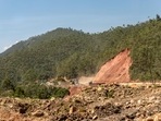 The Western Ghats Ecology Expert Panel has designated the entire Western Ghats as an ecologically sensitive area (Shutterstock) The Western Ghats Ecology Expert Panel has designated the entire Western Ghats as an ecologically sensitive area (Shutterstock)