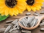 Loaded with nutrients, sunflower seeds are the perfect way to start a healthy day.