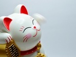 Here are your lucky Chinese zodiac signs from July 29 toAugust 4, 2024. Here are your lucky Chinese zodiac signs from July 29 toAugust 4, 2024.