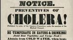 The Poona municipality placed advertisement cautioning citizens about the importance of drinking clean water to avoid cholera. Attendees of The Third International Commission on Cholera, held in Istanbul on February 13, 1866, unanimously agreed that Indians greatly contributed to the spread of the disease. (SOURCED) The Poona municipality placed advertisement cautioning citizens about the importance of drinking clean water to avoid cholera. Attendees of The Third International Commission on Cholera, held in Istanbul on February 13, 1866, unanimously agreed that Indians greatly contributed to the spread of the disease. (SOURCED)