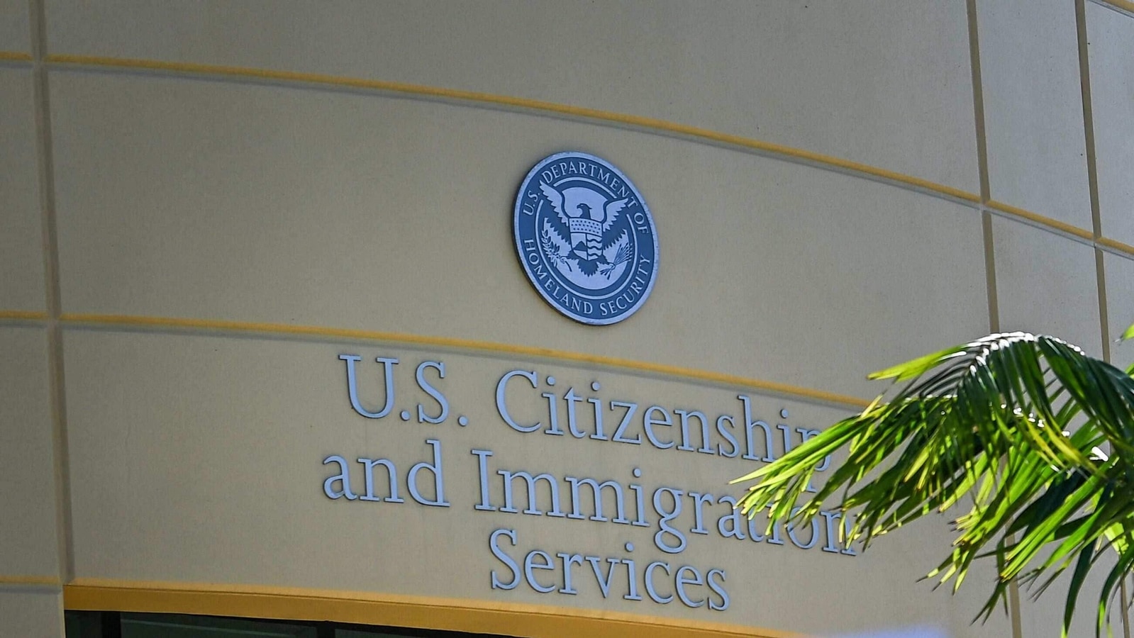 USCIS set to conduct second round of H-1B lottery for FY 2025 regular cap: Here's detailed guide