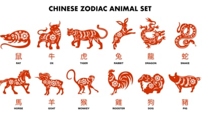 Read the Chinese Horoscope August 2024 for all zodiac signs. (Freepik)