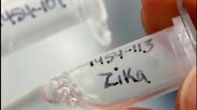 Two fresh cases of Zika virus were reported on Wednesday in Pune. (REPRESENTATIVE PHOTO) Two fresh cases of Zika virus were reported on Wednesday in Pune. (REPRESENTATIVE PHOTO)