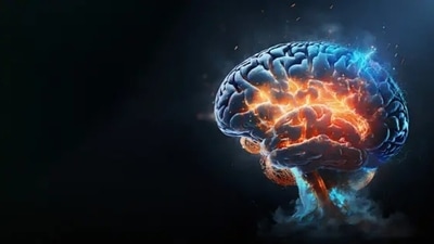 A new study highlights that high cholesterol and untreated vision issues are key factors in dementia risk. (Unsplash) A new study highlights that high cholesterol and untreated vision issues are key factors in dementia risk. (Unsplash)