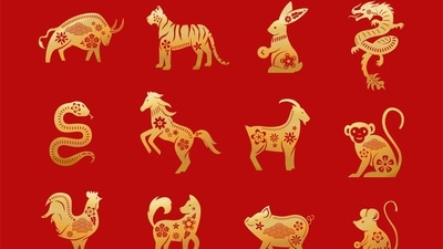 5 Chinese zodiac signs will likely receive luck in love this week from July 29- August 4, 2024. (Freepik)
