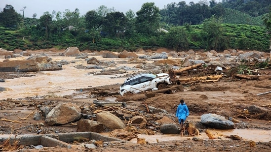 .Scientists suggest that the recent Wayanad landslides in Kerala were likely caused by a mix of climate change, excessive mining, and deforestation (AP Photo) (AP)