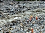 Shimla: Rescue operation underway following a cloudburst in Jhakhari area of Rampur subdivision, in Shimla district, Thursday, August 1, 2024.(PTI) Shimla: Rescue operation underway following a cloudburst in Jhakhari area of Rampur subdivision, in Shimla district, Thursday, August 1, 2024.(PTI)