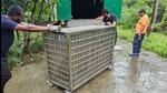 As per the information shared by the Junnar forest department, a team of 25 people from the Vanatara Jamnagar Zoo including a zoo manager, veterinary officer, and 23 members from the management team reached Junnar along with three big ambulances on July 31. (HT PHOTO) As per the information shared by the Junnar forest department, a team of 25 people from the Vanatara Jamnagar Zoo including a zoo manager, veterinary officer, and 23 members from the management team reached Junnar along with three big ambulances on July 31. (HT PHOTO)