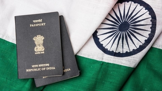 In 2023, 2,16,219 (2.16 lakh) Indians gave up their citizenship. (File)