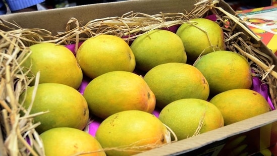 The Bengaluru airport shipped a staggering 822 metric tonnes (MT) of mangoes in 2024, marking a phenomenal 20 percent year-on-year growth. (REPRESENTATIVE PHOTO)