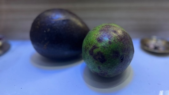 Avocados used in pooja by a family in Bengaluru. (X/@dharmeshba)