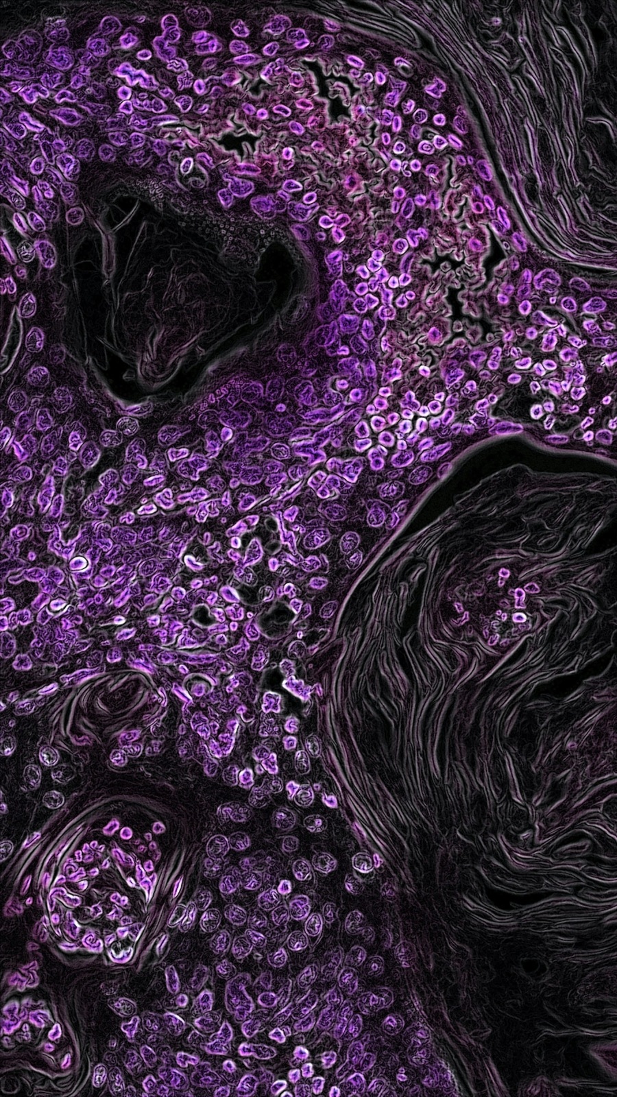 national-cancer-institute-zoFbfT0M_BU-unsplash