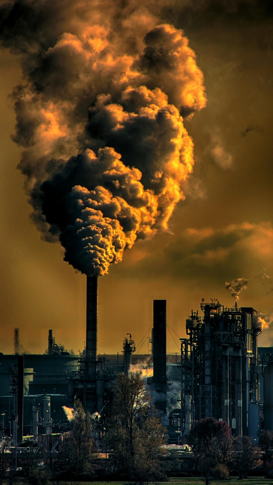 pexels-chrisleboutillier-929385