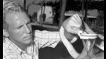 Romulus Whitaker, aged 27, presses the head of a deadly cobra in order to extract its venom, at his farm in Tambaram, Madras, in a photograph dated November 11, 1970. (Bettmann Archive)