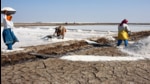 The salt workers of Gujarat The salt workers of Gujarat
