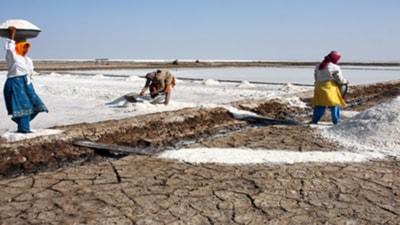 The salt workers of Gujarat The salt workers of Gujarat