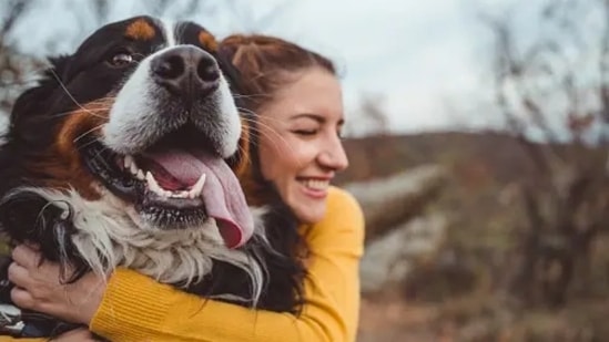 A recent study conducted by Talker Research on behalf of Nulo, revealed that dogs can help us become healthier emotionally, mentally and physically.(Unsplash)