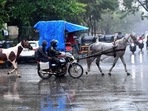 Mumbai: A horse cart, seen during rains, in Mumbai, Saturday, Aug. 3, 2024. (PTI Photo)
(PTI08_03_2024_000164A)(PTI) Mumbai: A horse cart, seen during rains, in Mumbai, Saturday, Aug. 3, 2024. (PTI Photo)
(PTI08_03_2024_000164A)(PTI)