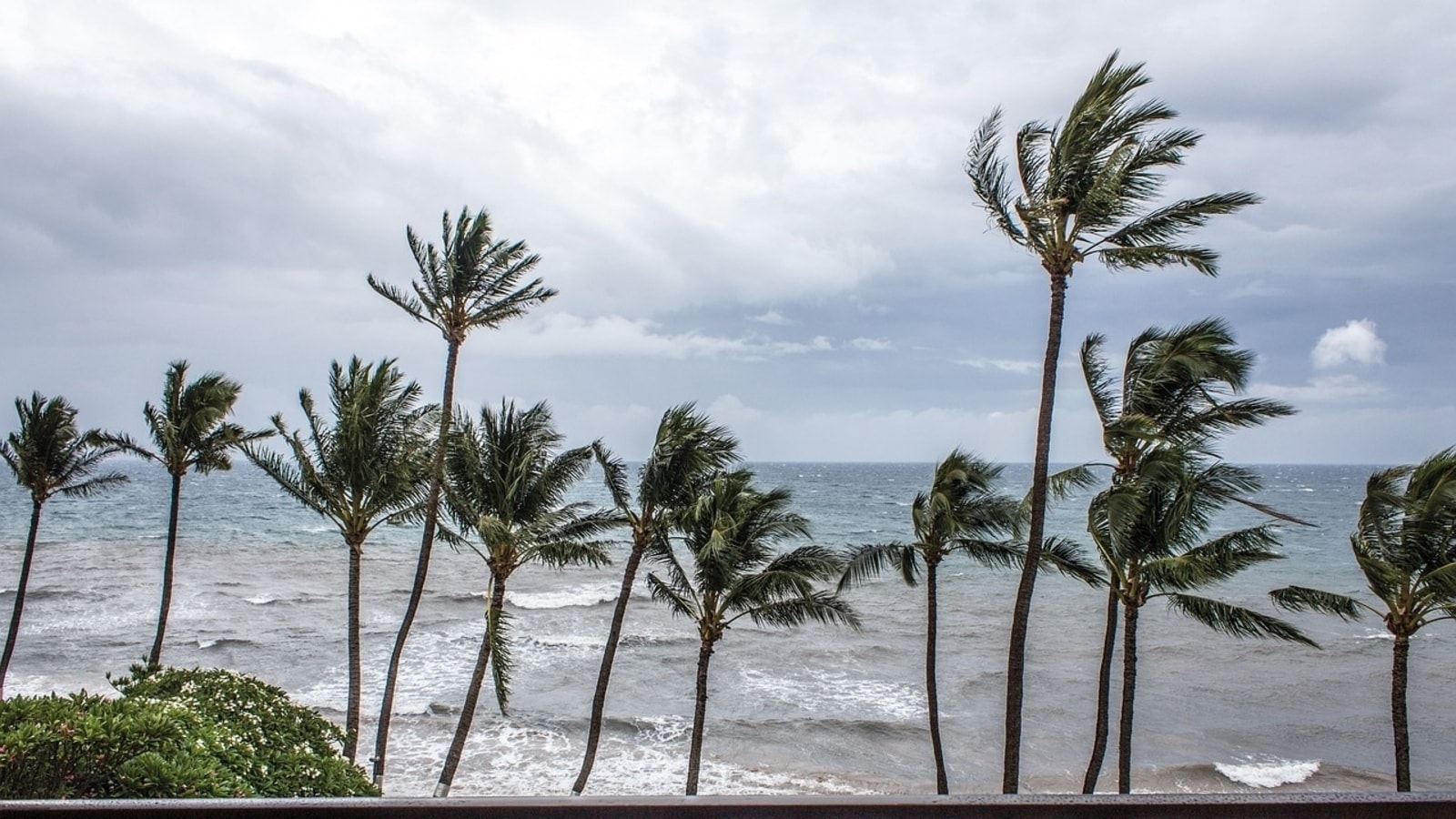 Florida braces for storm Debby: Tropical storm warnings & flood watch issued