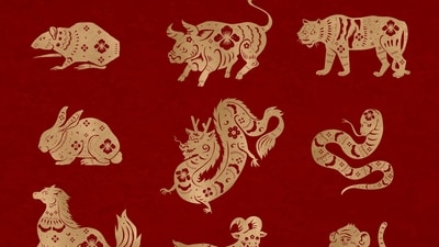 5 Chinese zodiac signs will likely receive luck in love this week from  August 5-11, 2024. (Freepik)