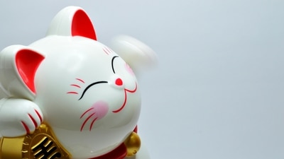 Lucky Chinese zodiac signs from August 5-11, 2024. (Pexels)