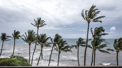 Tropical storm warnings & flood watch issued in Florida as the state prepares for Storm Debby. Tropical storm warnings & flood watch issued in Florida as the state prepares for Storm Debby.