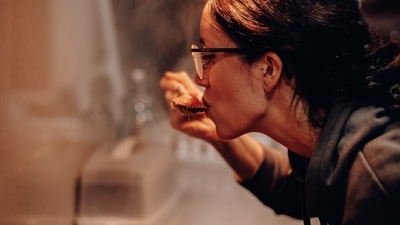 There’s no debate about the four traditional primary tastes, but for nearly a century there was no consensus on whether umami could be considered the fifth primary taste. So, what exactly is umami? (Pexels) There’s no debate about the four traditional primary tastes, but for nearly a century there was no consensus on whether umami could be considered the fifth primary taste. So, what exactly is umami? (Pexels)