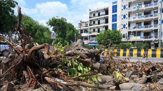 In a letter sent to the Noida chief executive seeking knowledge of the incident, the authority has sought legal action. (Sunil Ghosh/HT Photo)