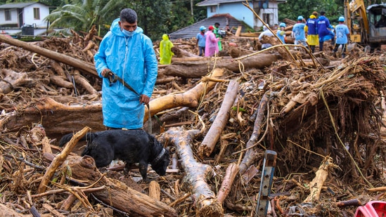 Wayanad: A military special dog during a search operation to trace bodies from the landslide-hit area, at Chooralmala in Wayanad, Friday, Aug. 2, 2024.(PTI)