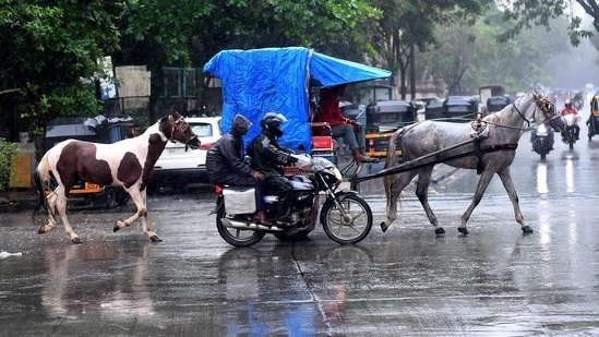 Mumbai: A horse cart, seen during rains, in Mumbai, Saturday, Aug. 3, 2024. (PTI Photo) (PTI08_03_2024_000164A)(PTI)