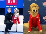 Beacon, the therapy dog Beacon, the therapy dog