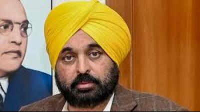 Chief minister Bhagwant Mann. (HT File Photo)