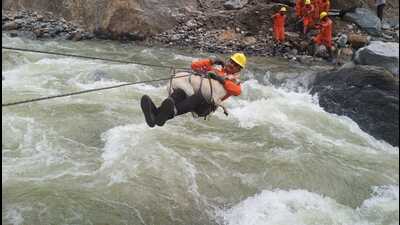 Sniffer dogs on Sunday helped the National Disaster Response Force (NDRF) trace and recover four more bodies from Rajban village in Mandi’s Padhar and Rampur in Shimla as rescue and relief operations in the state’s flood-hit areas entered the fourth day. (HT) Sniffer dogs on Sunday helped the National Disaster Response Force (NDRF) trace and recover four more bodies from Rajban village in Mandi’s Padhar and Rampur in Shimla as rescue and relief operations in the state’s flood-hit areas entered the fourth day. (HT)