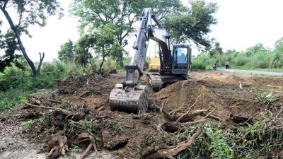 The tribunal has taken cognisance of a HT report, dated February 1, about how the state government’s forest department gave nod to fell about 112,722 trees and shrubs in the protected forests of three forest divisions — Ghaziabad, Meerut and Muzaffarnagar — to construct two lanes of the road project. (Sakib Ali/HT Times) The tribunal has taken cognisance of a HT report, dated February 1, about how the state government’s forest department gave nod to fell about 112,722 trees and shrubs in the protected forests of three forest divisions — Ghaziabad, Meerut and Muzaffarnagar — to construct two lanes of the road project. (Sakib Ali/HT Times)