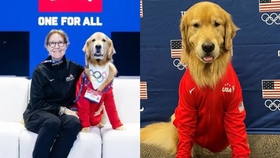 Beacon, the therapy dog Beacon, the therapy dog